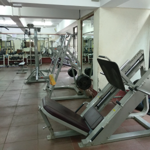 Gymnasium 